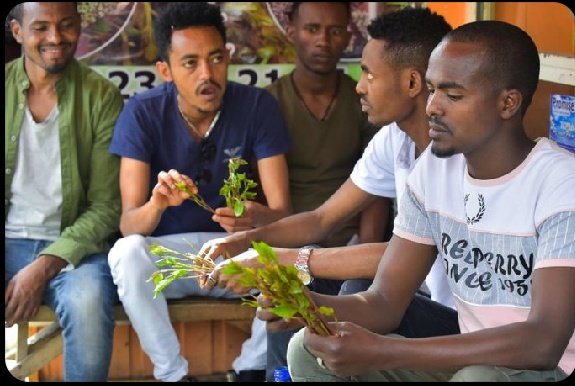 Eric😎 tweet media