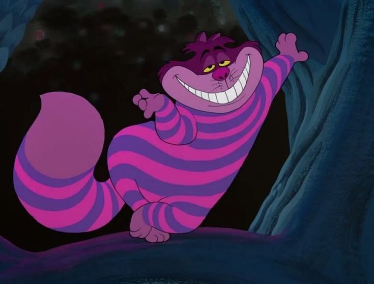 dolls 🐮 tweet media