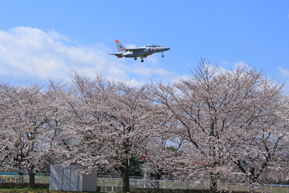 オポッサム tweet media