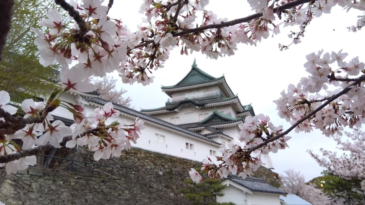 NKれーいち tweet media