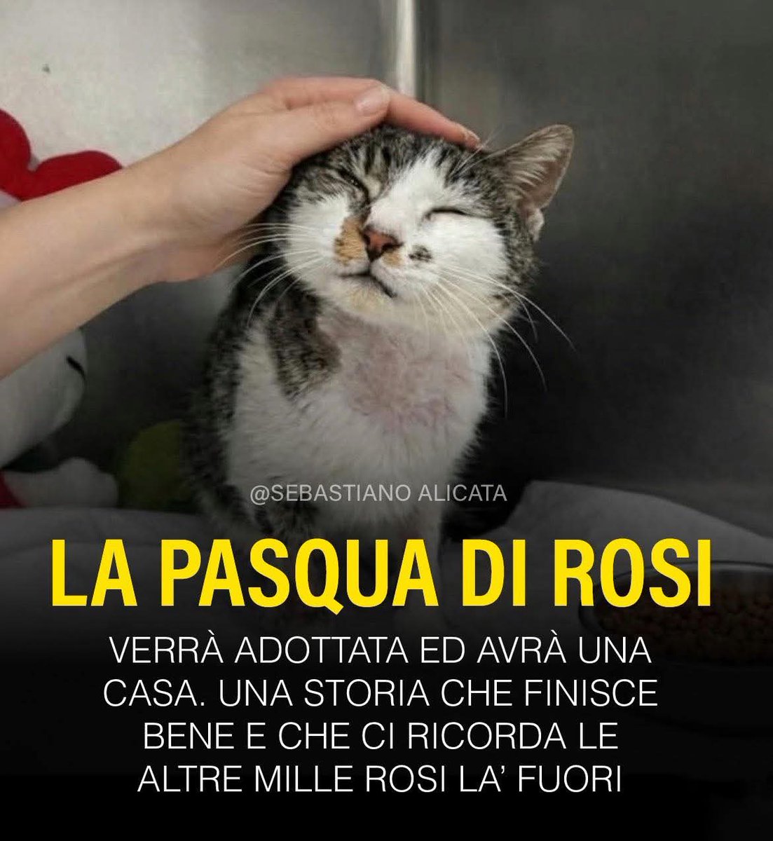 Sabrina F. tweet media