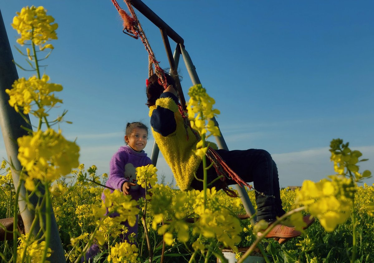 Juneed1996's tweet photo. The beauty of nature, flowers, and the joy of childhood in the countryside of #Raqqa, northern #Syria https://t.co/VmHZw3aSNZ