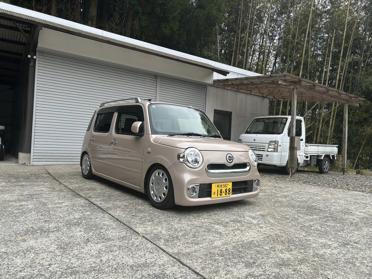 松茸君762号 tweet media