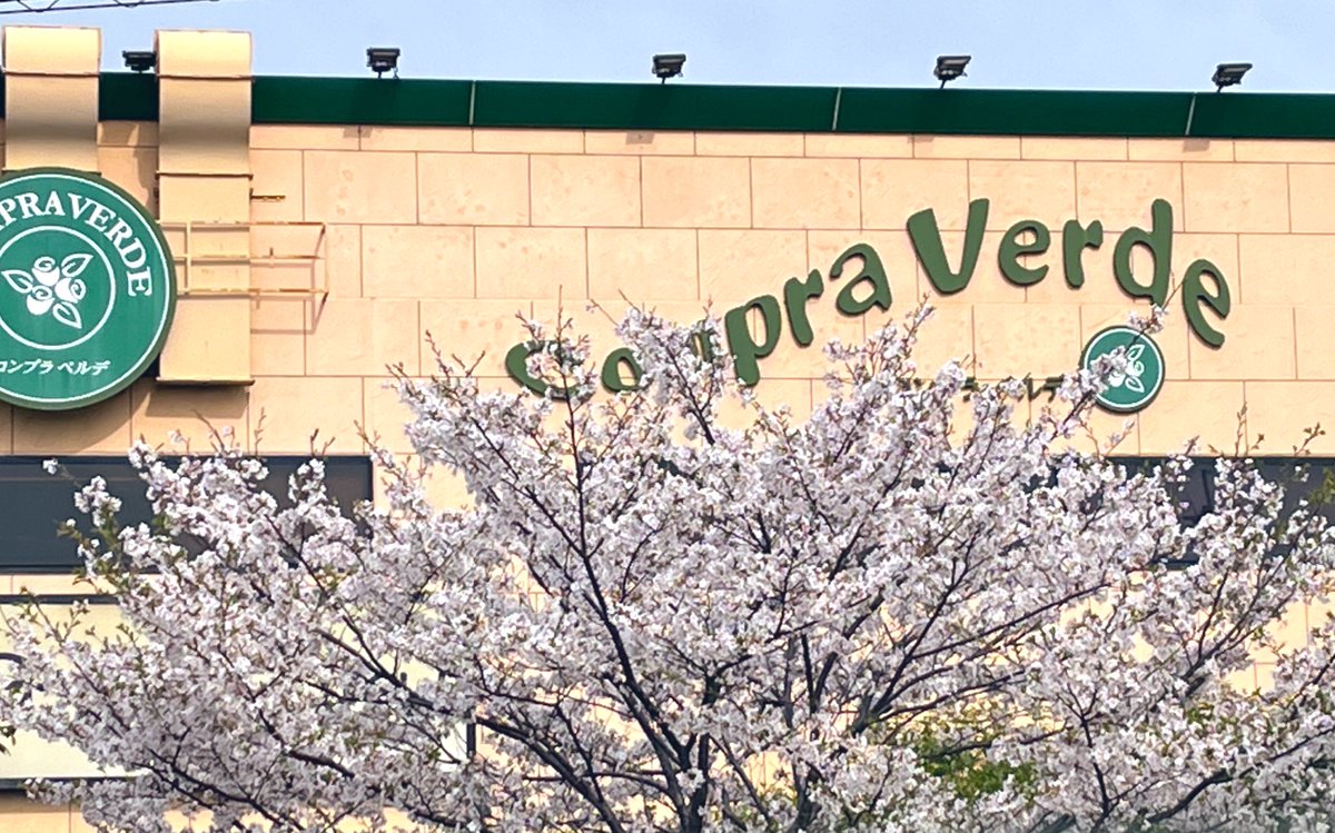 めゆこ tweet media