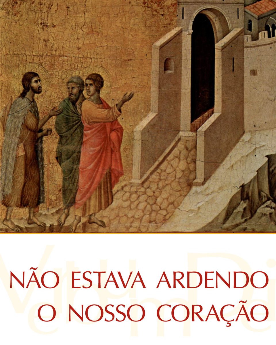 Vatican News tweet media