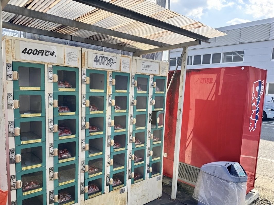 福島県人 tweet media