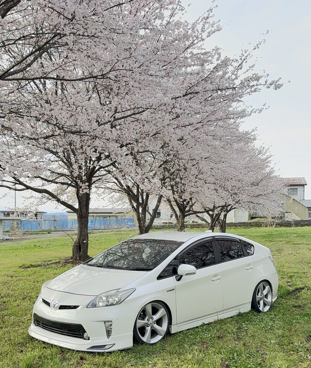 いっち〜 tweet media