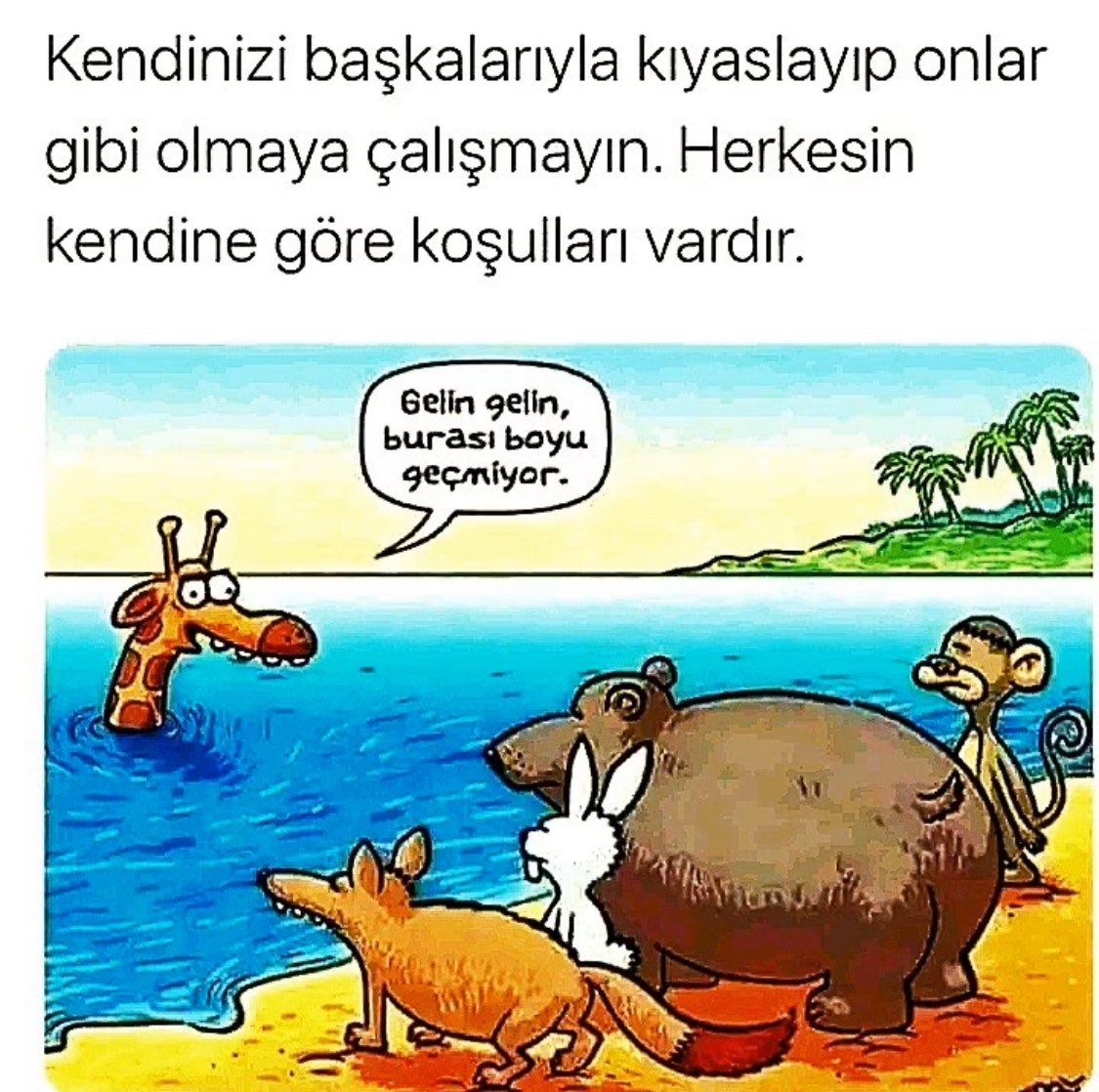 ShadowMan8888's tweet photo. Herkesin kendine göre koşulları vardır .

Güzel bir hafta olsun 🙏🏼
#pazartesi https://t.co/0HYrwRcquP