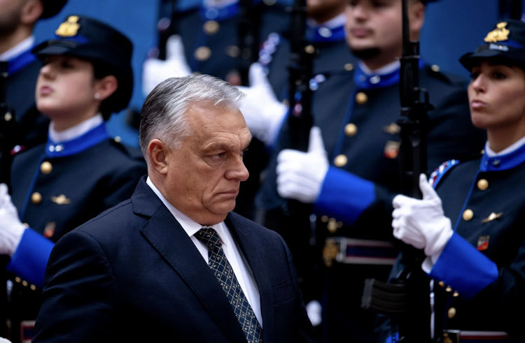 Joni Askola tweet media