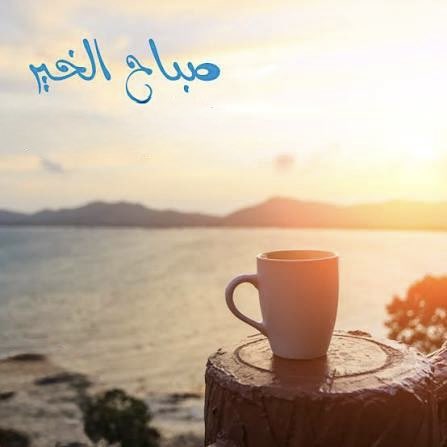 أصبحنا وأصبح الملك لله الواحد القهار 

لا إله الا الله وحده لاشريك له سبحانه 

يالله عليك ولا على غير يالله الحمدلله 

#صباح_الخير