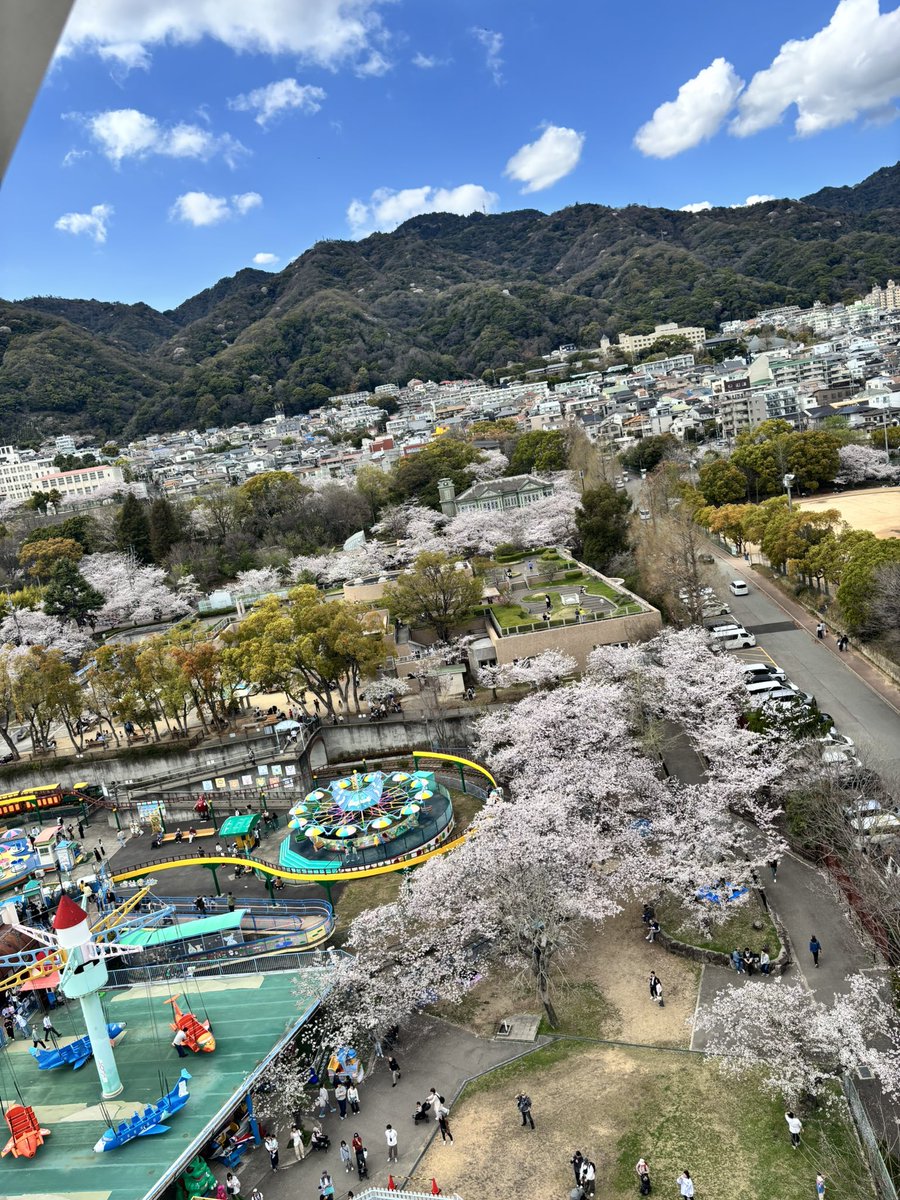 濱﨑すな美 (布施) tweet media