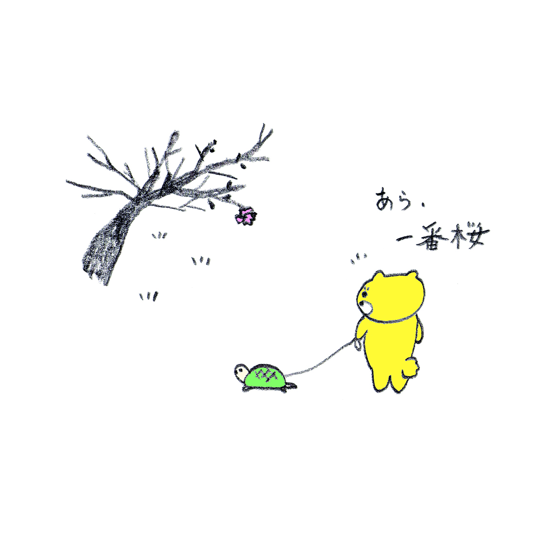 見つける🌸