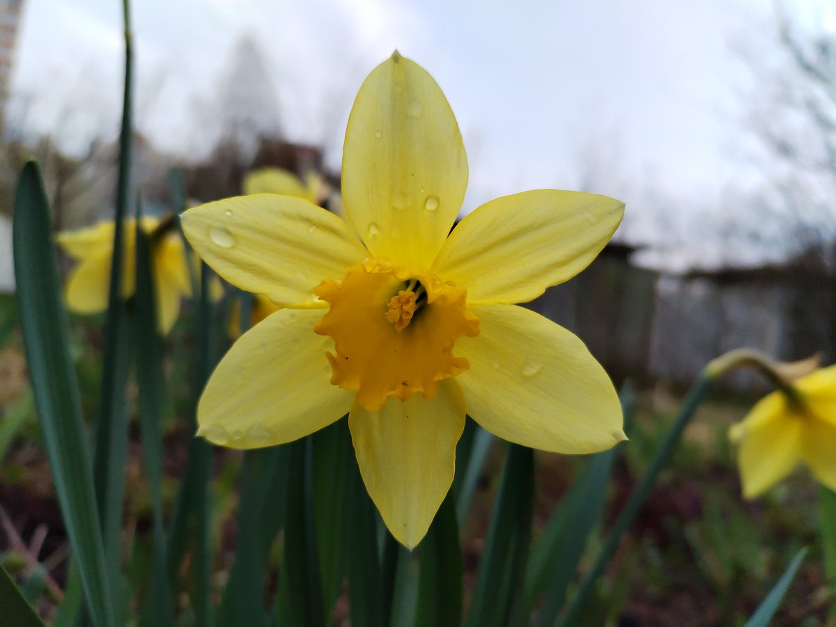 Katyadelacrua (@katyadelacrua) on Twitter photo 