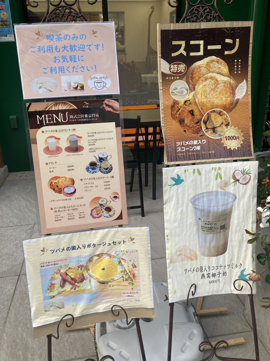 anzutann🐸 tweet media