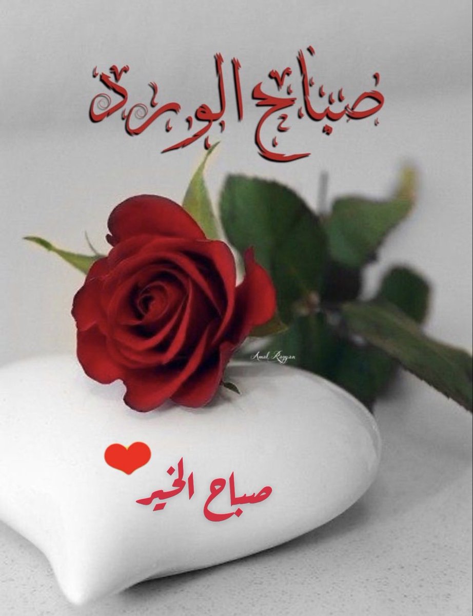 Alfares_2 tweet media