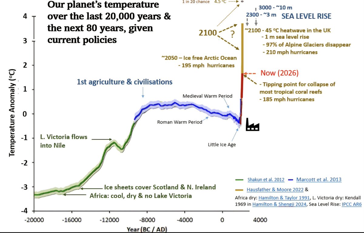Patrick Hamilton tweet media
