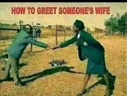 Bee🐝Bramwell tweet media