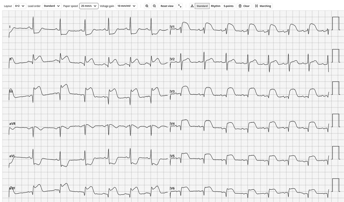 Dr. Andreas Roeschl tweet media