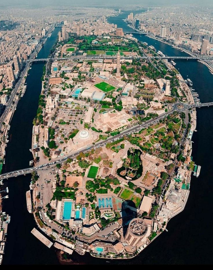 𓂀 Nefertiti : Nile Tales 𓅓 tweet media