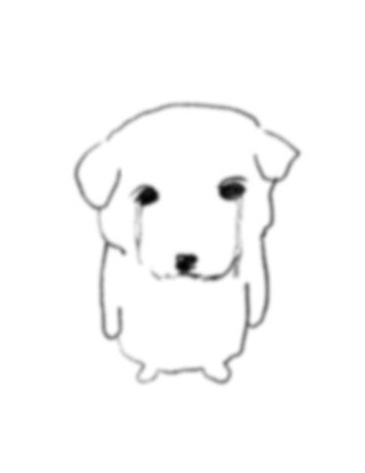 워키토키 tweet media