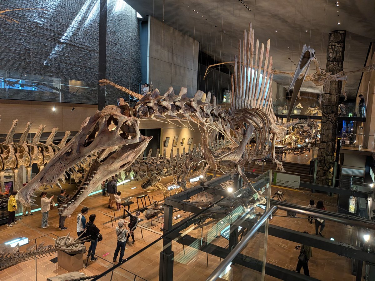 𝘃𝗮𝘁𝗶𝗰𝗮𝗻 tweet media