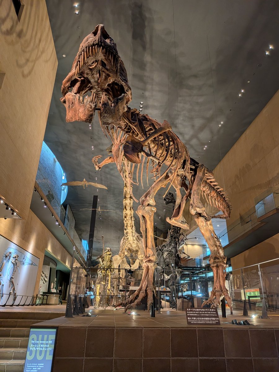 𝘃𝗮𝘁𝗶𝗰𝗮𝗻 tweet media