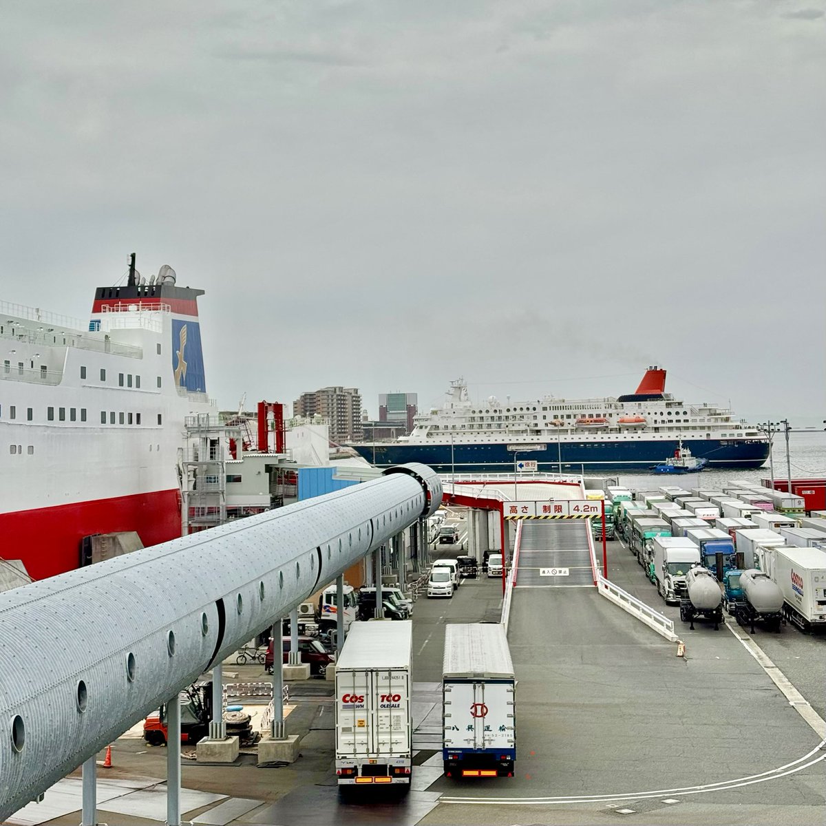 ジャンボフェリー【公式】 tweet media