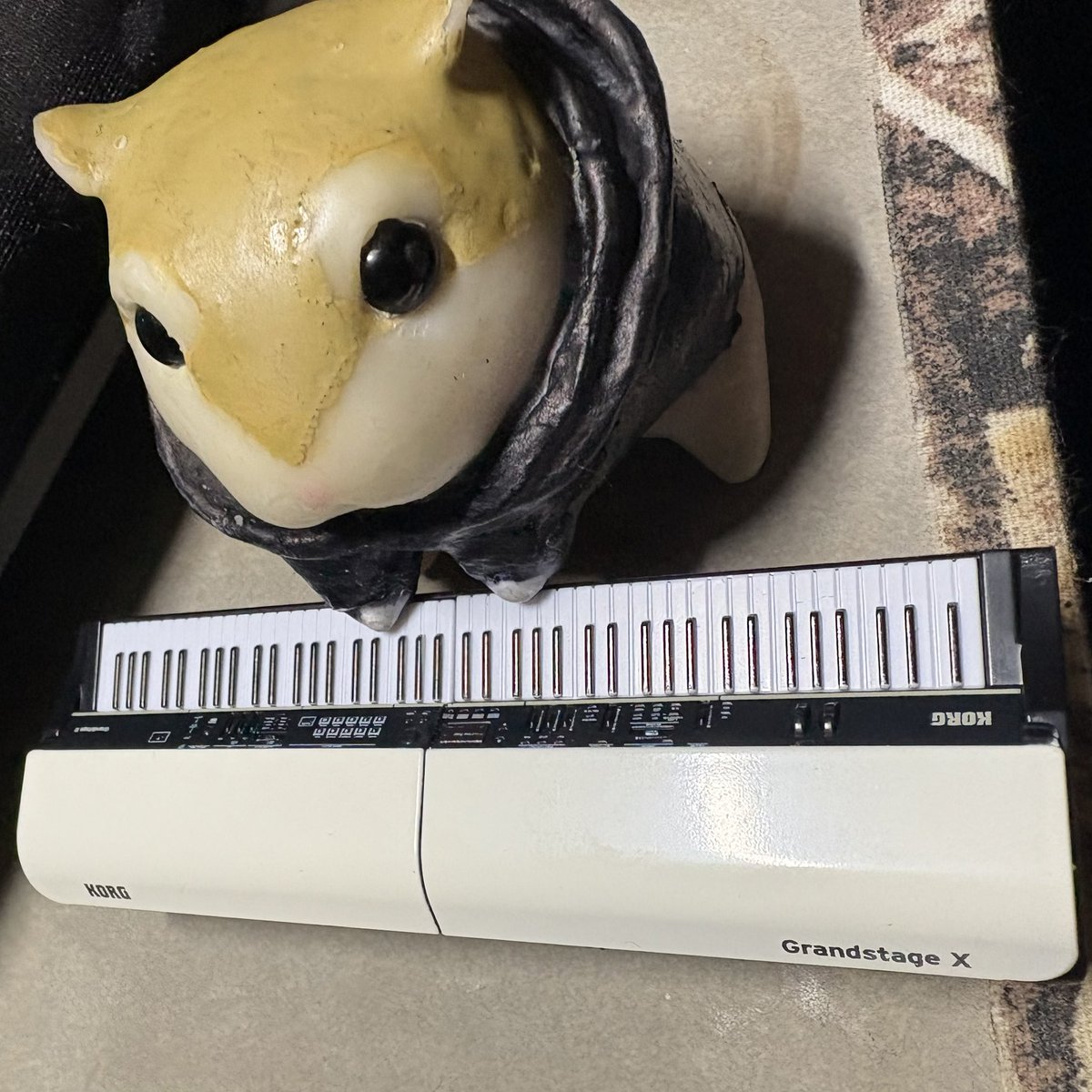 梶迫🐹迅八@例大祭う15a tweet media