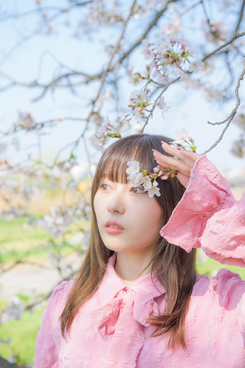 さつん。 tweet media