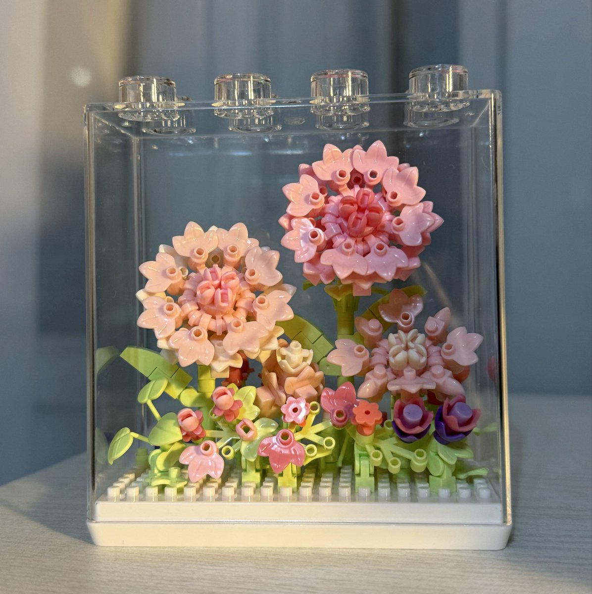 moon✦︎ tweet media