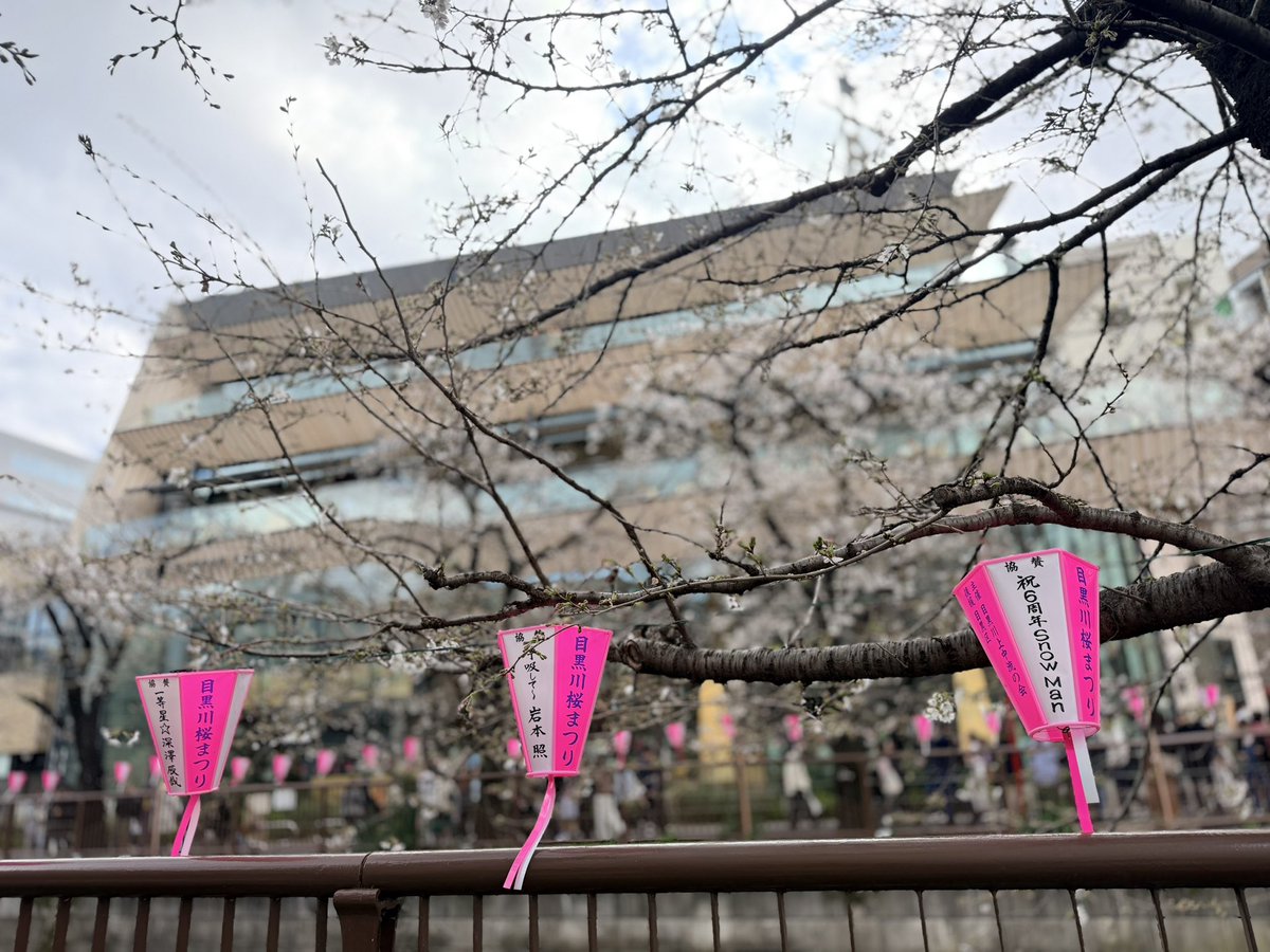 さたけ tweet media