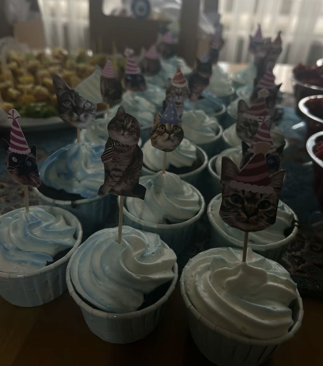 GaGa Haber tweet media