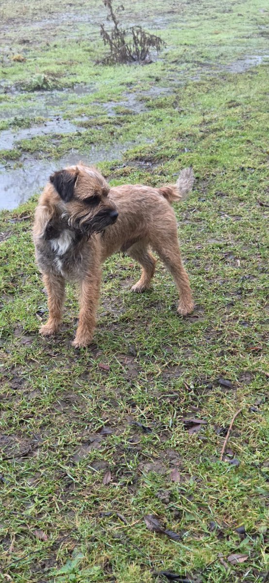 TED & Tilly tilbo Baggins 2 🌈 27.04.24 tweet media