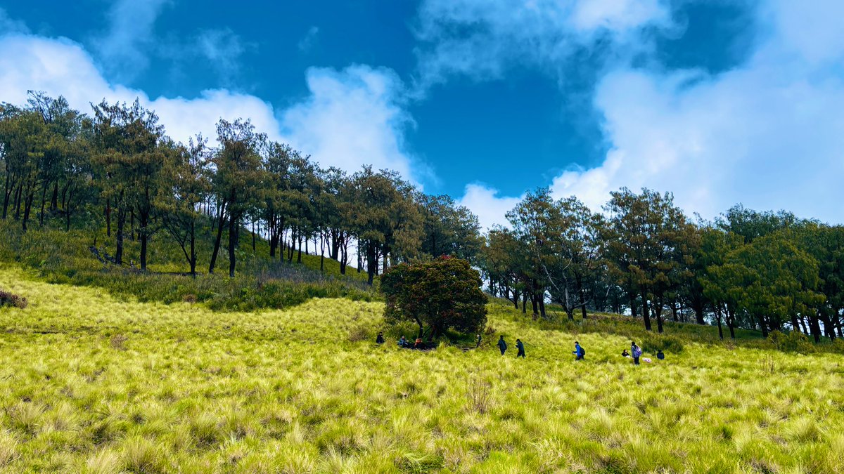 momnonymous2 tweet media