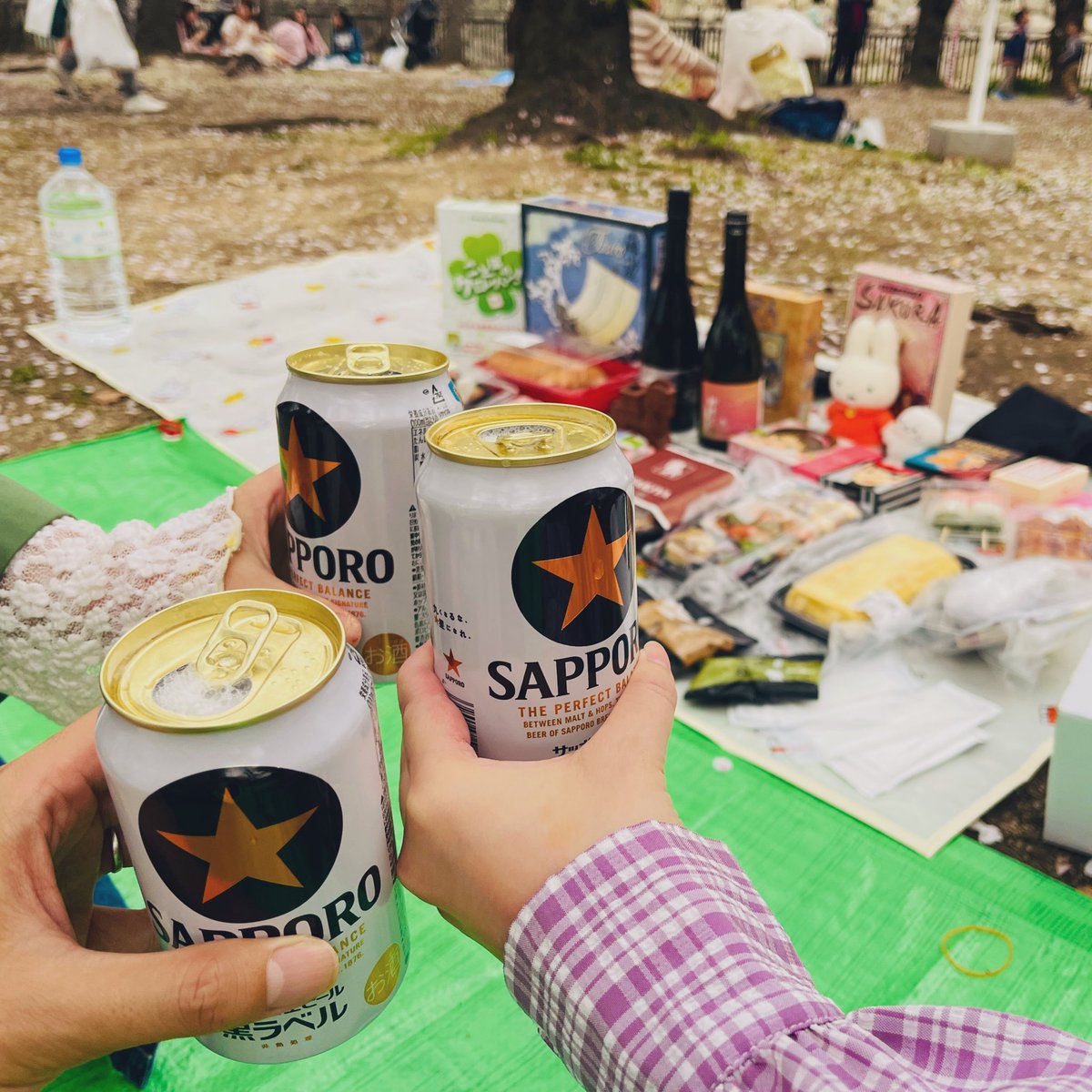 シチマロ🐹 tweet media