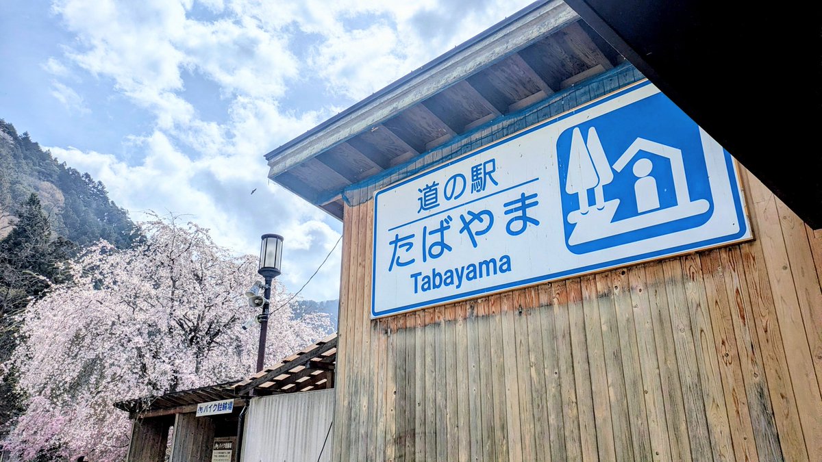 柏森たま。@鈴奈幻想絵巻 鈴-18 tweet media