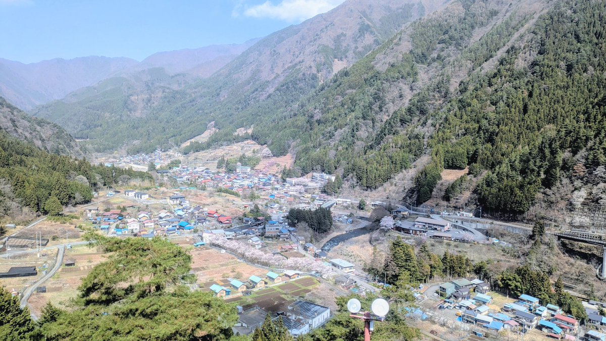 柏森たま。@鈴奈幻想絵巻 鈴-18 tweet media