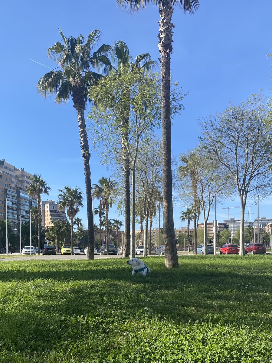 Muchaburi Agent.Co tweet media