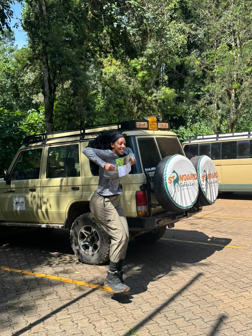 Standard Safaris tweet media