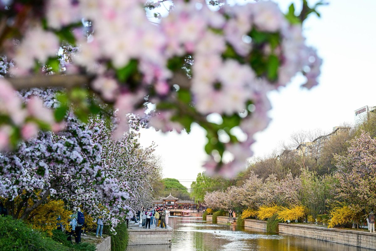 China Xinhua News tweet media