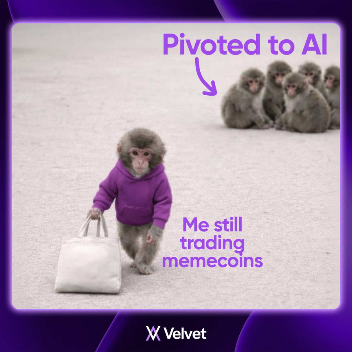 Velvet | Onchain Terminal tweet media