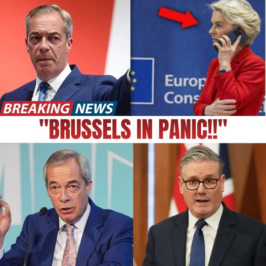 Make Europe Great Again - M.E.G.A tweet media