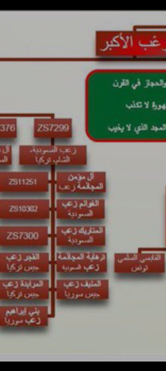 عماج tweet media