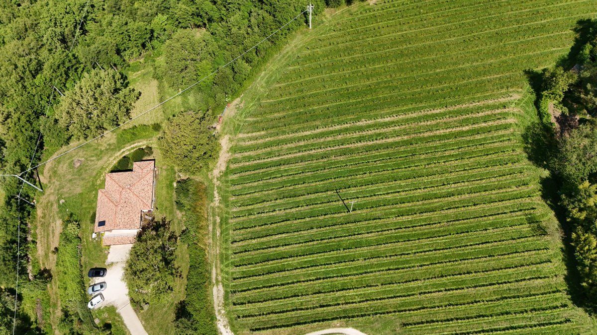 Michal Hardyn tweet media