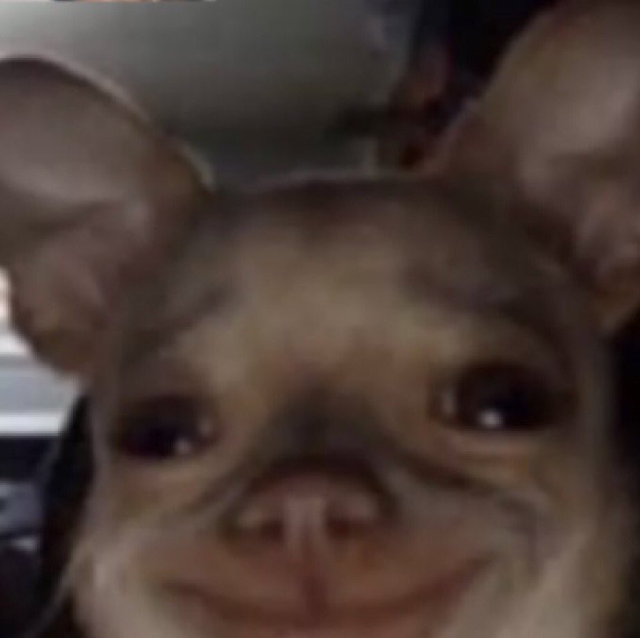 Xcellent tweet media