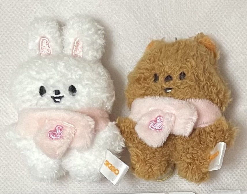 ハレ☀️🐿 tweet media