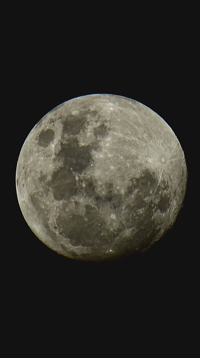 Nathalie's foto's tweet media