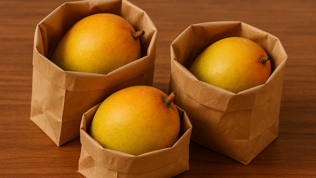 NDTVFood's tweet image. Why Storing Mangoes In That Blinkit Bag Is A Smart Choice For Summer
food.ndtv.com/food-drinks/wh…
#mangoes #brownbag #tips
