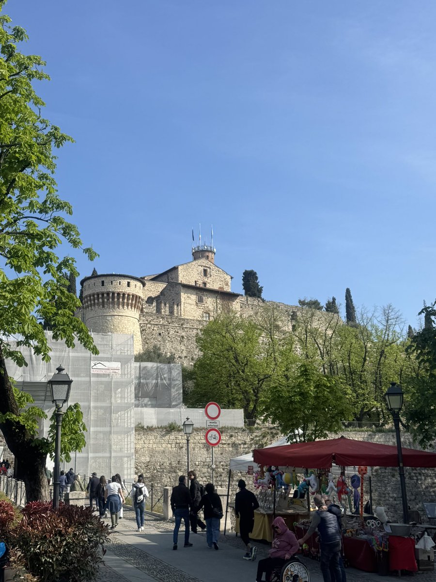 🦋CARRY tweet media