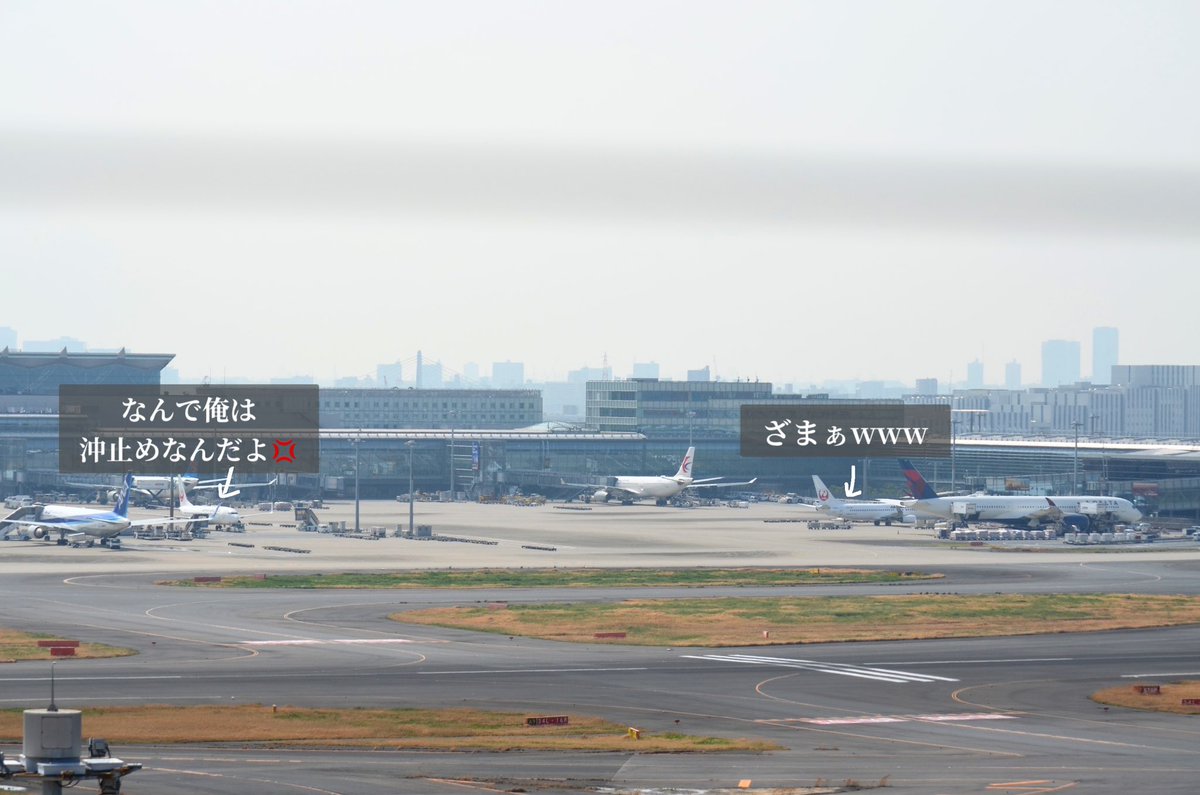 もも JALサ部員*⋆✈ tweet media